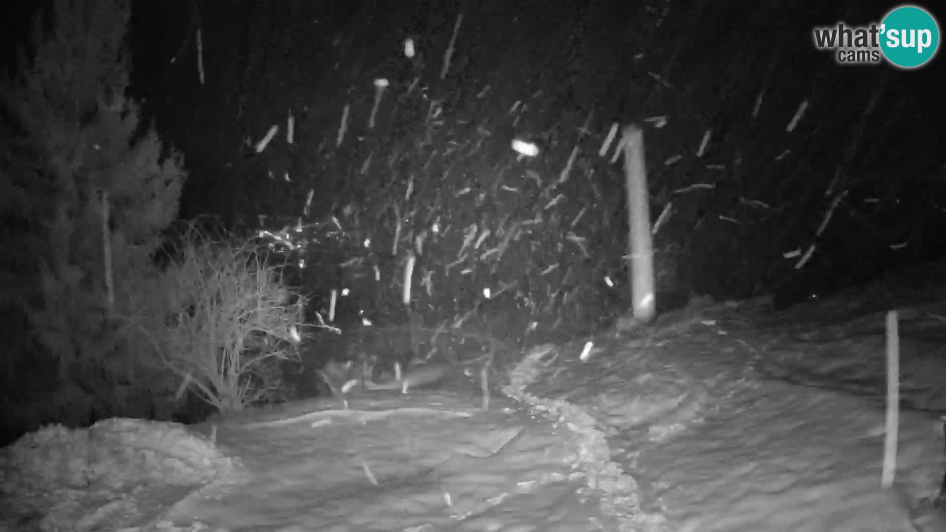 Slajka web kamera | Gorenja Vas | Slovenija