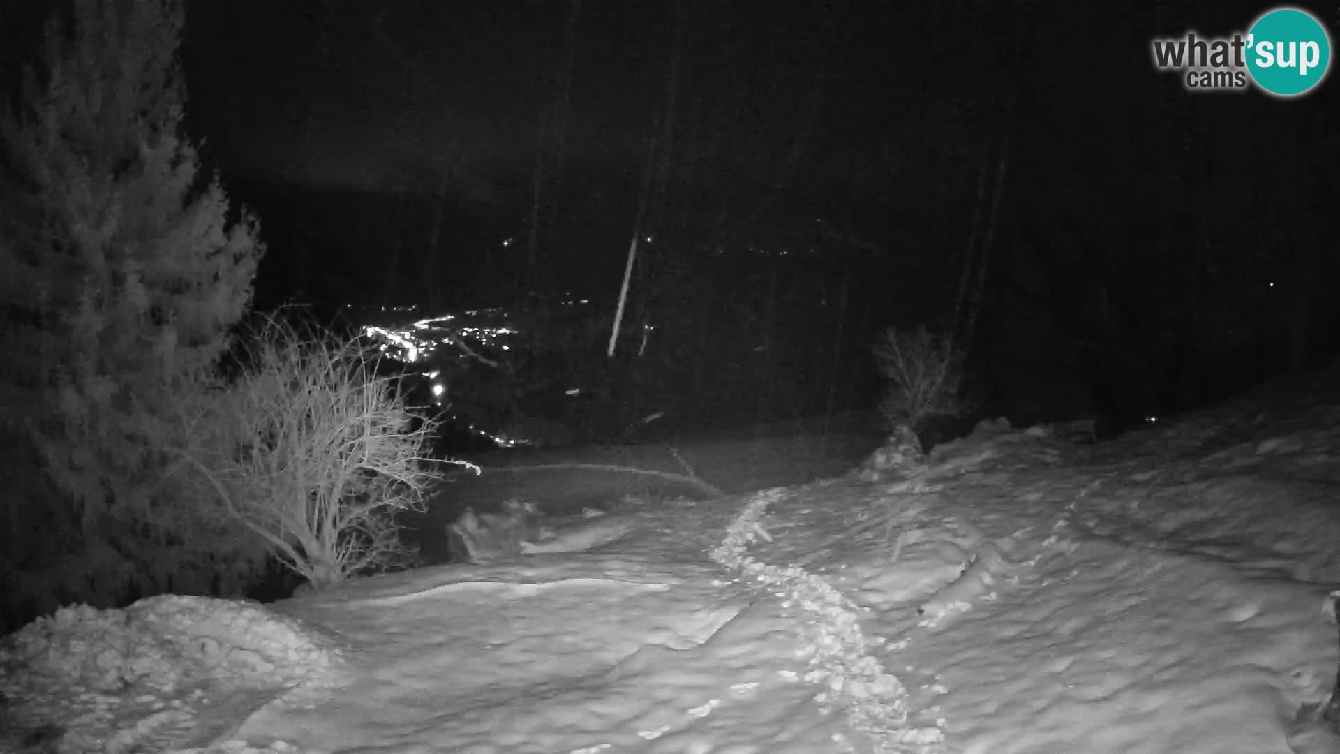 Slajka webam | Gorenja vas | Slovenia