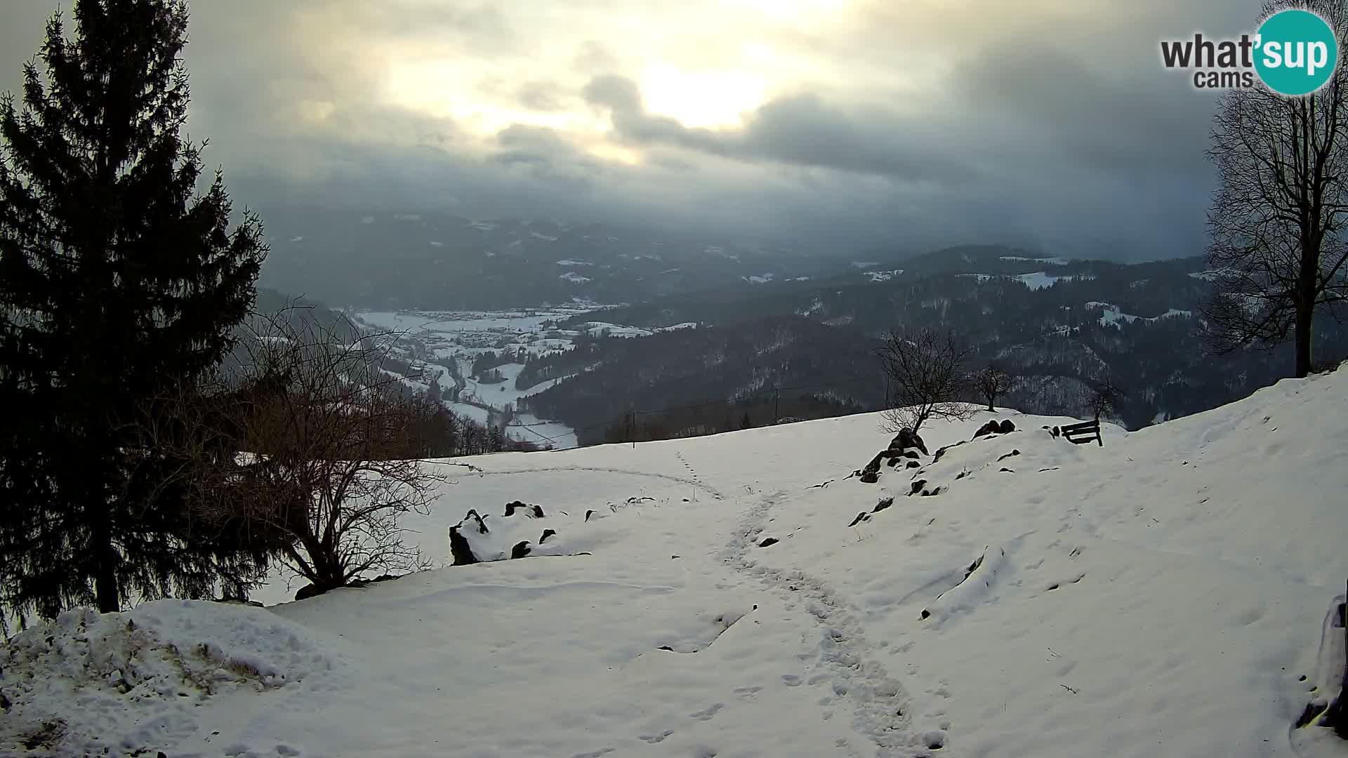 Slajka camera en vivo | Gorenja Vas | Eslovenia