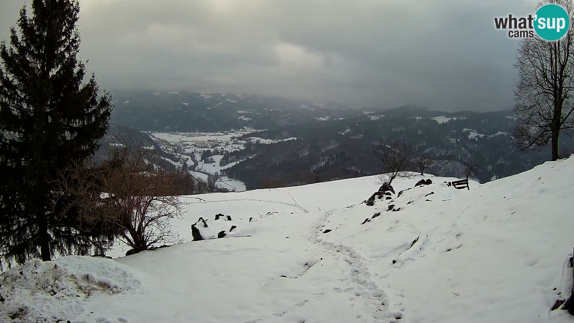 Slajka livecam | Gorenja Vas | Slovénie