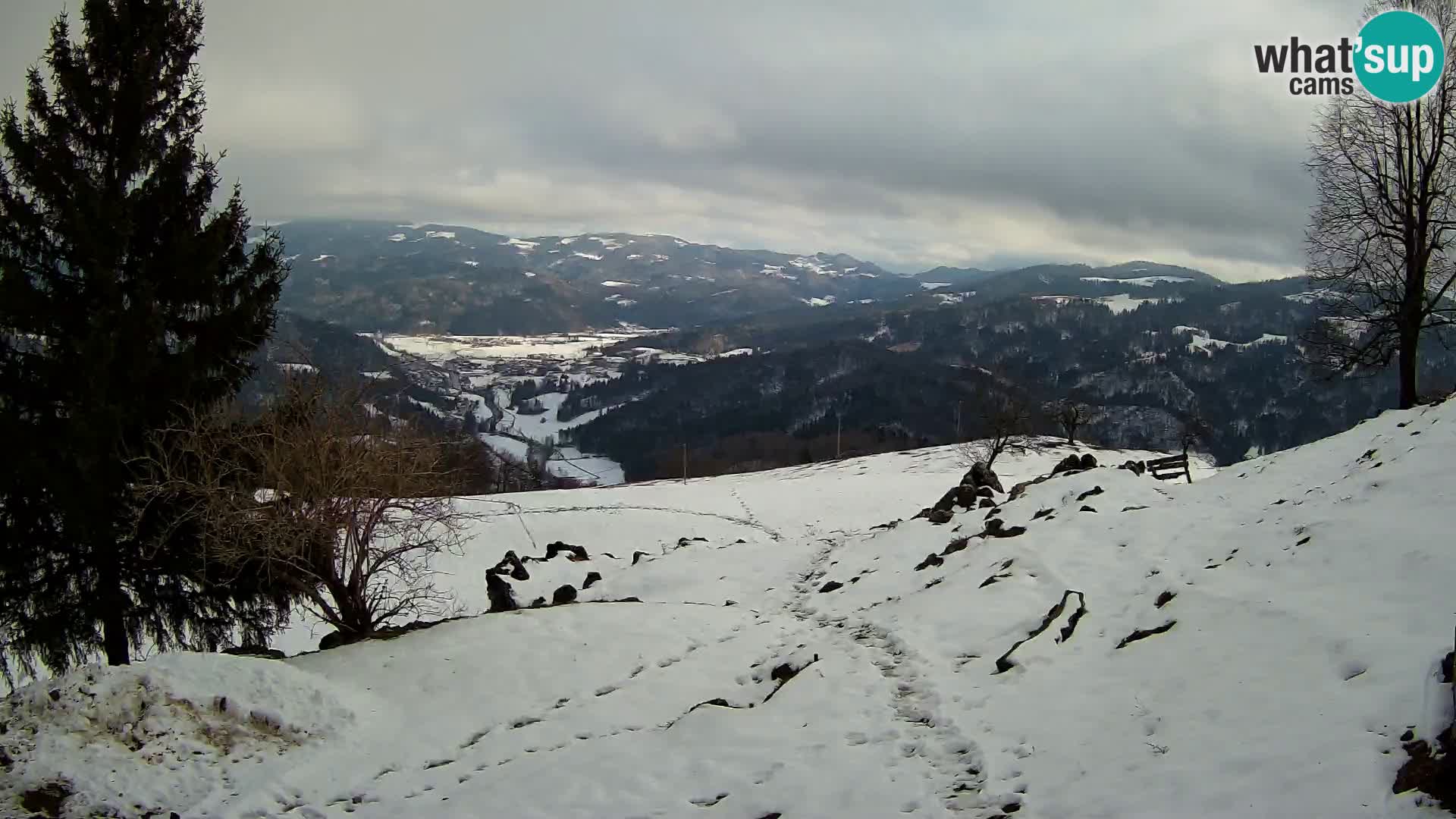 Slajka webam | Gorenja vas | Slovenia