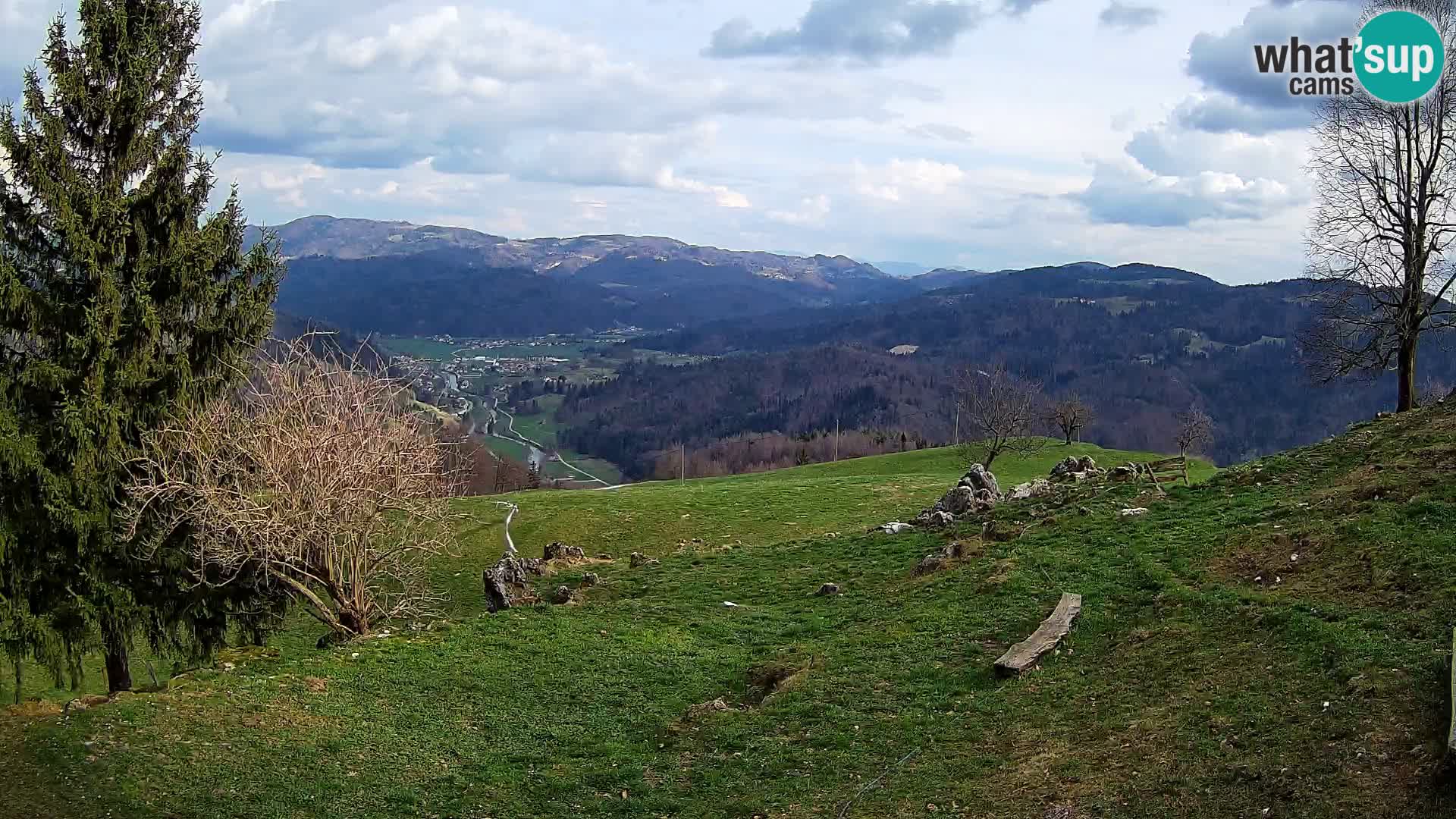 Slajka camera en vivo | Gorenja Vas | Eslovenia