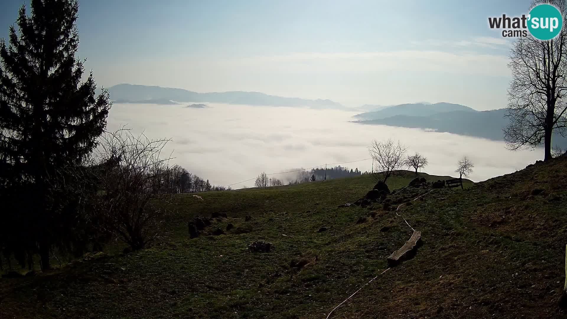 Slajka camera en vivo | Gorenja Vas | Eslovenia