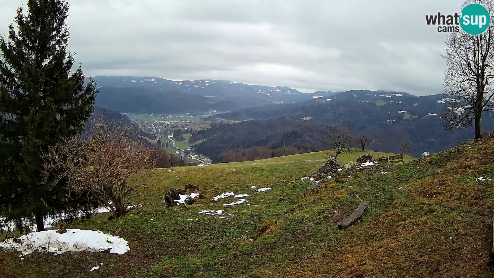 Slajka webam | Gorenja vas | Slovenia