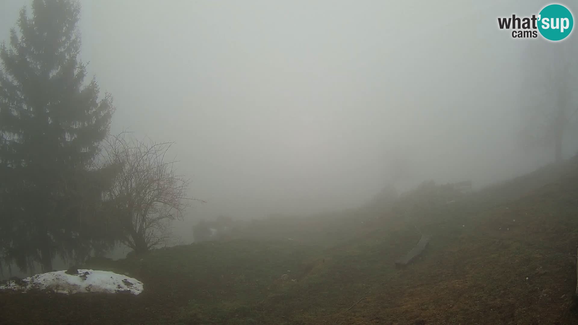 Slajka livecam | Gorenja Vas | Slovénie