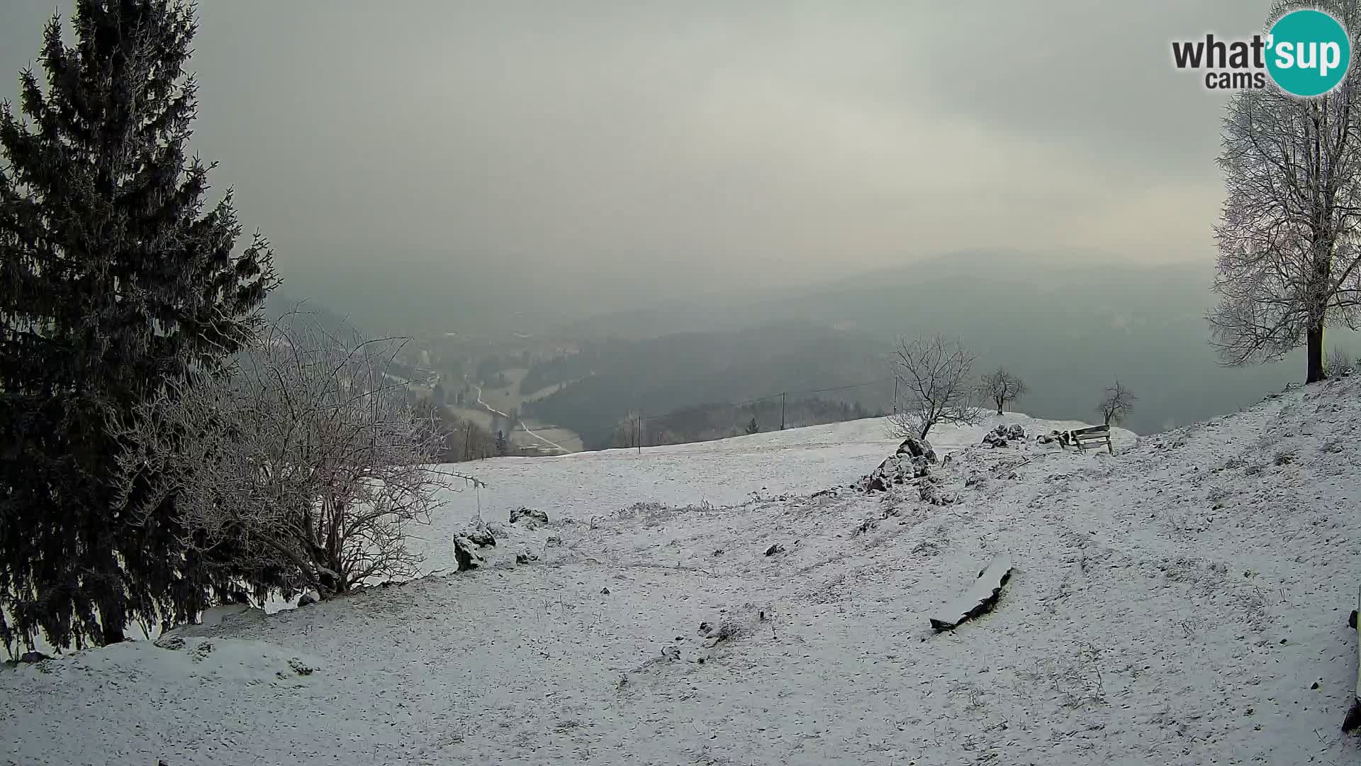 Slajka camera en vivo | Gorenja Vas | Eslovenia