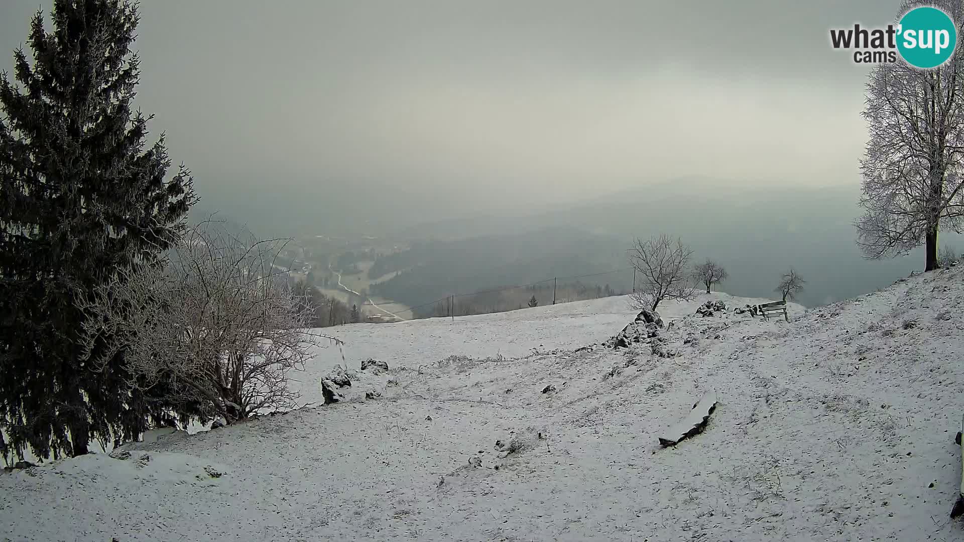 Slajka camera en vivo | Gorenja Vas | Eslovenia