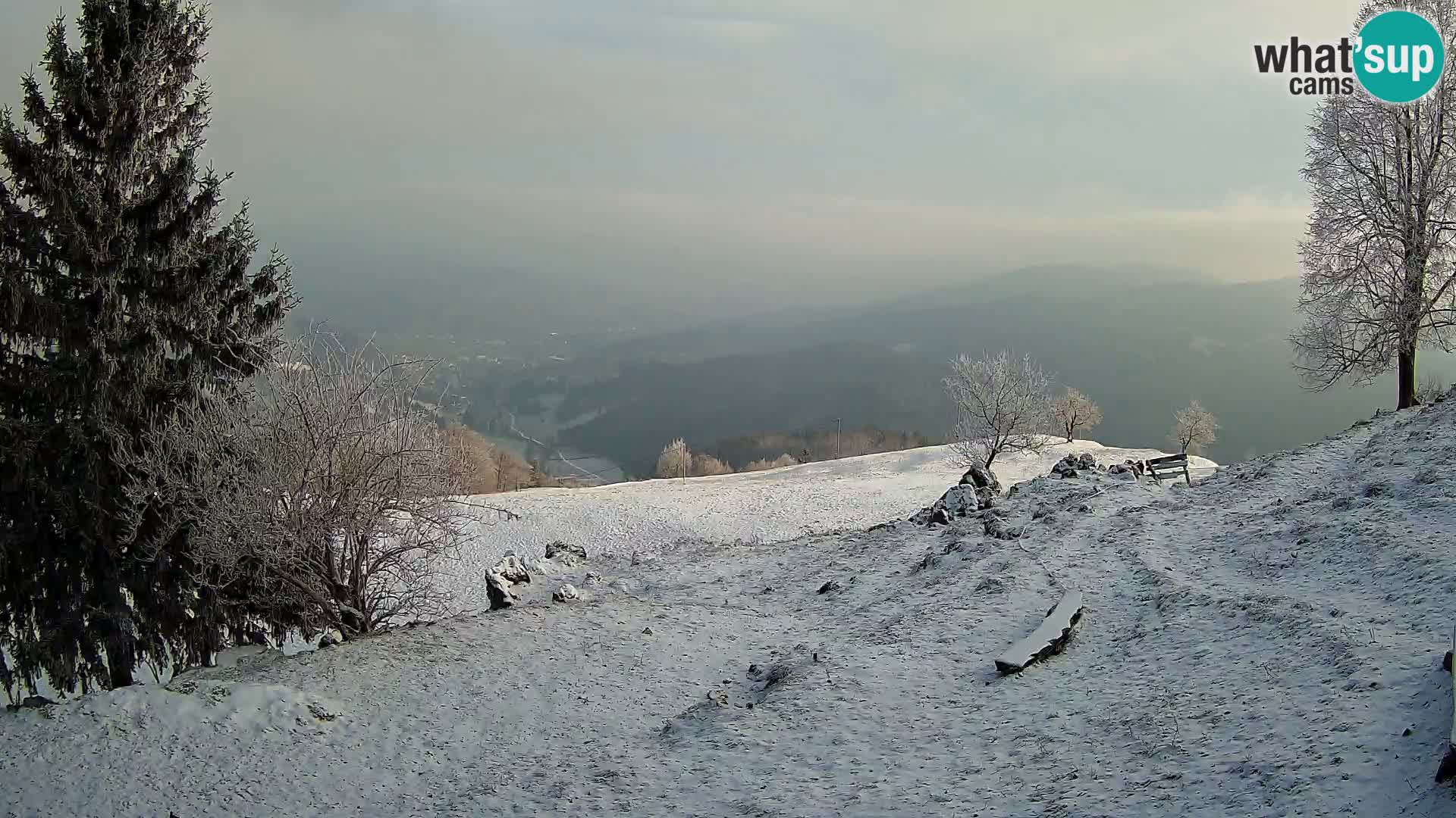 Slajka camera en vivo | Gorenja Vas | Eslovenia