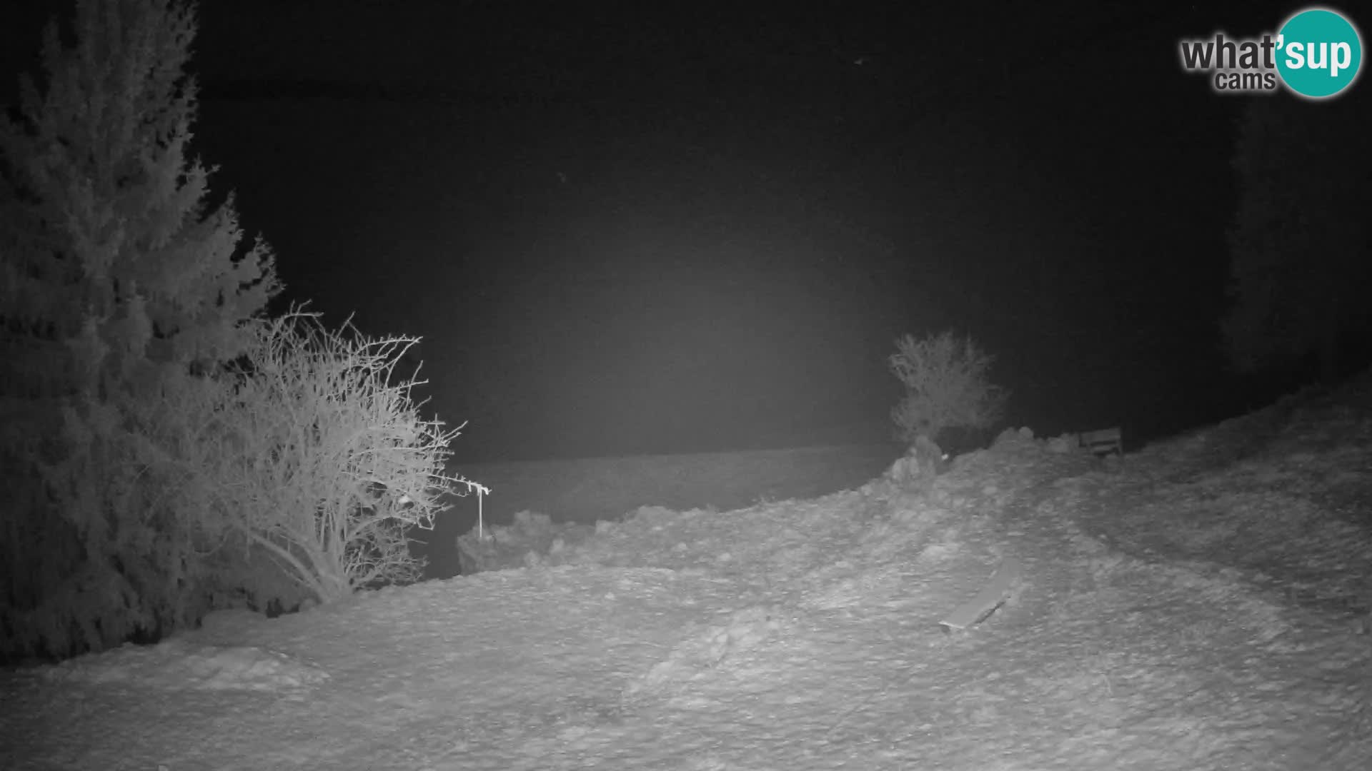 Slajka livecam | Gorenja Vas | Slovénie