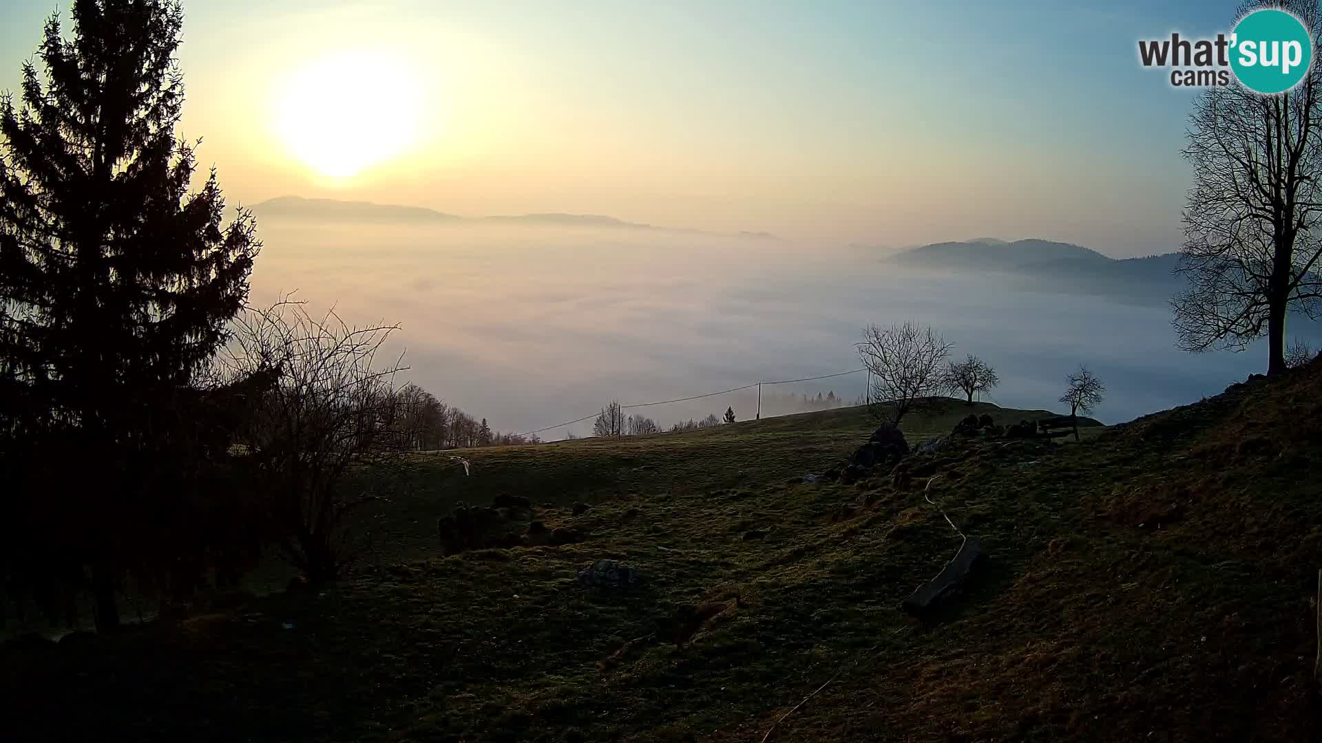 Slajka camera en vivo | Gorenja Vas | Eslovenia