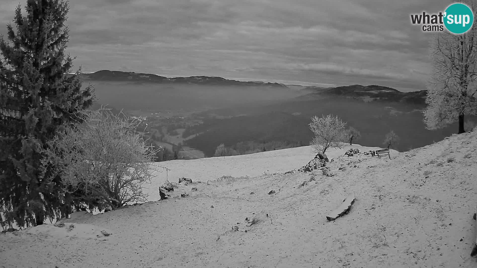 Slajka camera en vivo | Gorenja Vas | Eslovenia