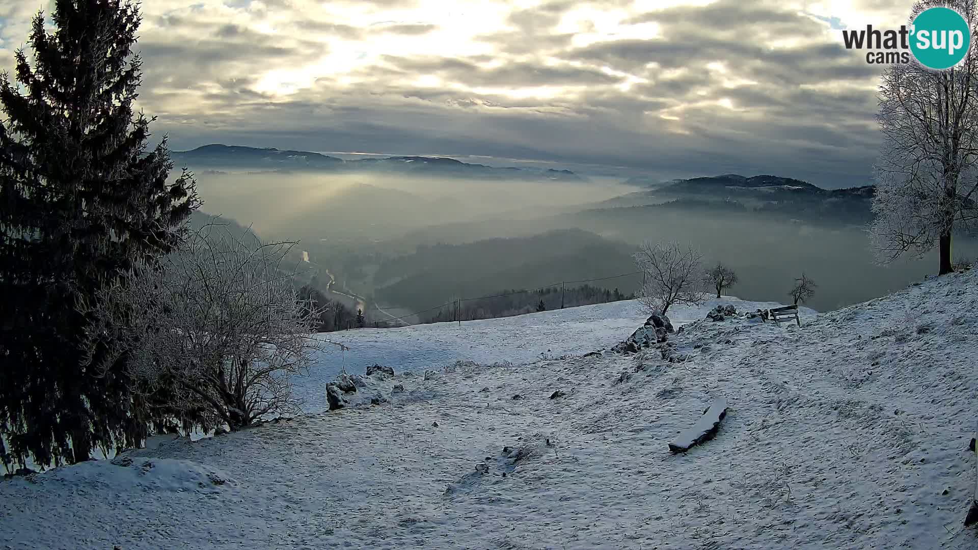 Slajka camera en vivo | Gorenja Vas | Eslovenia
