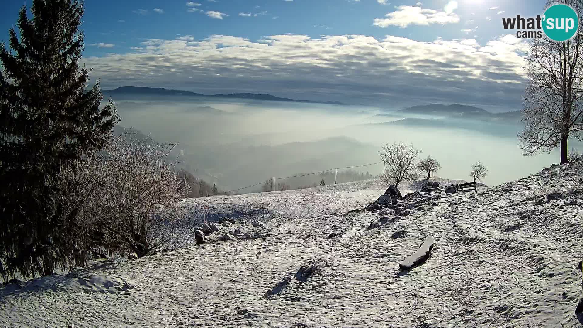 Slajka livecam | Gorenja Vas | Slovénie