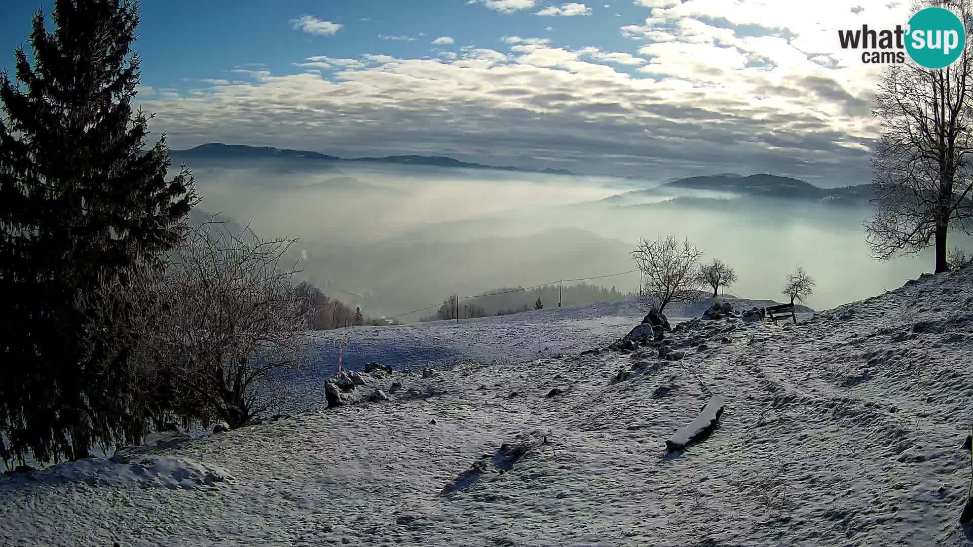 Slajka livecam | Gorenja Vas | Slovénie