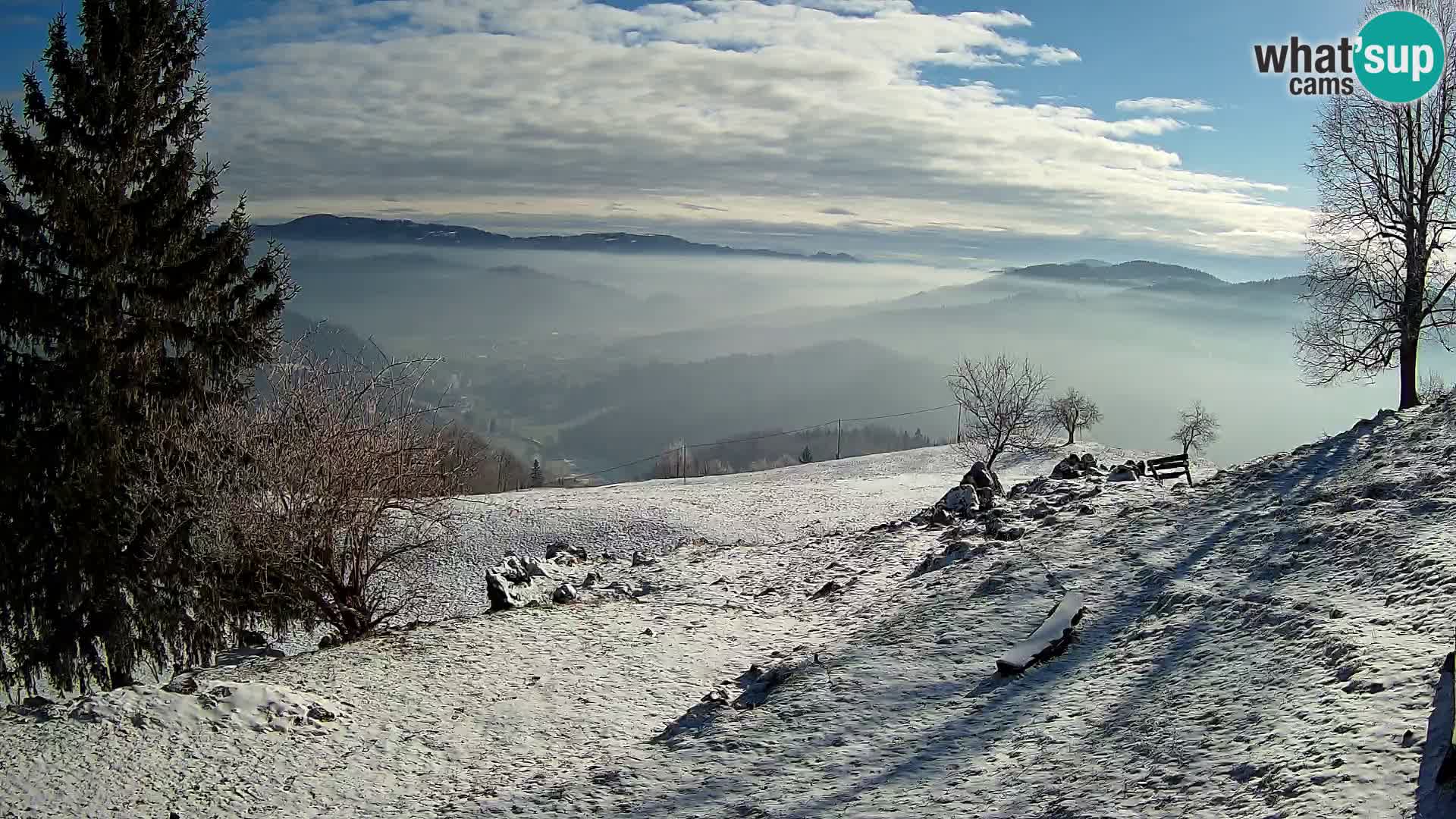 Slajka livecam | Gorenja Vas | Slovénie