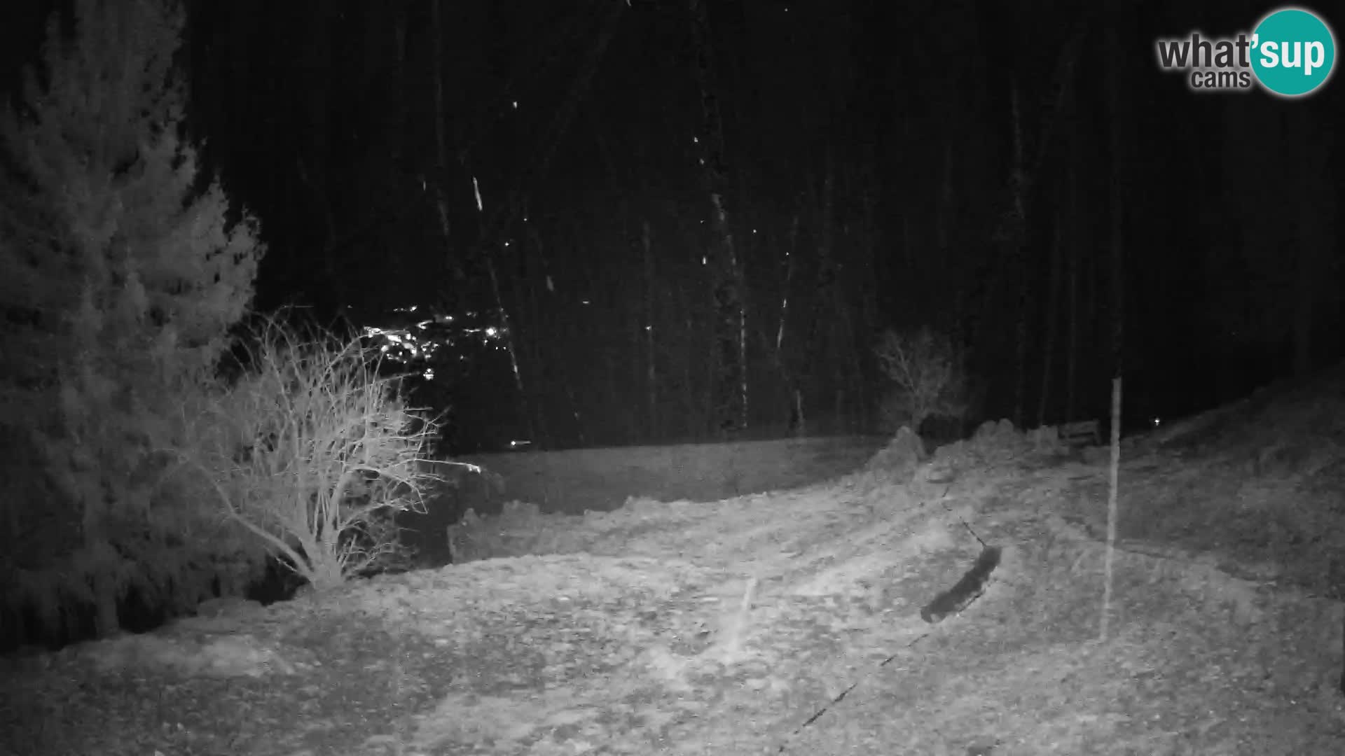 Slajka webam | Gorenja vas | Slovenia