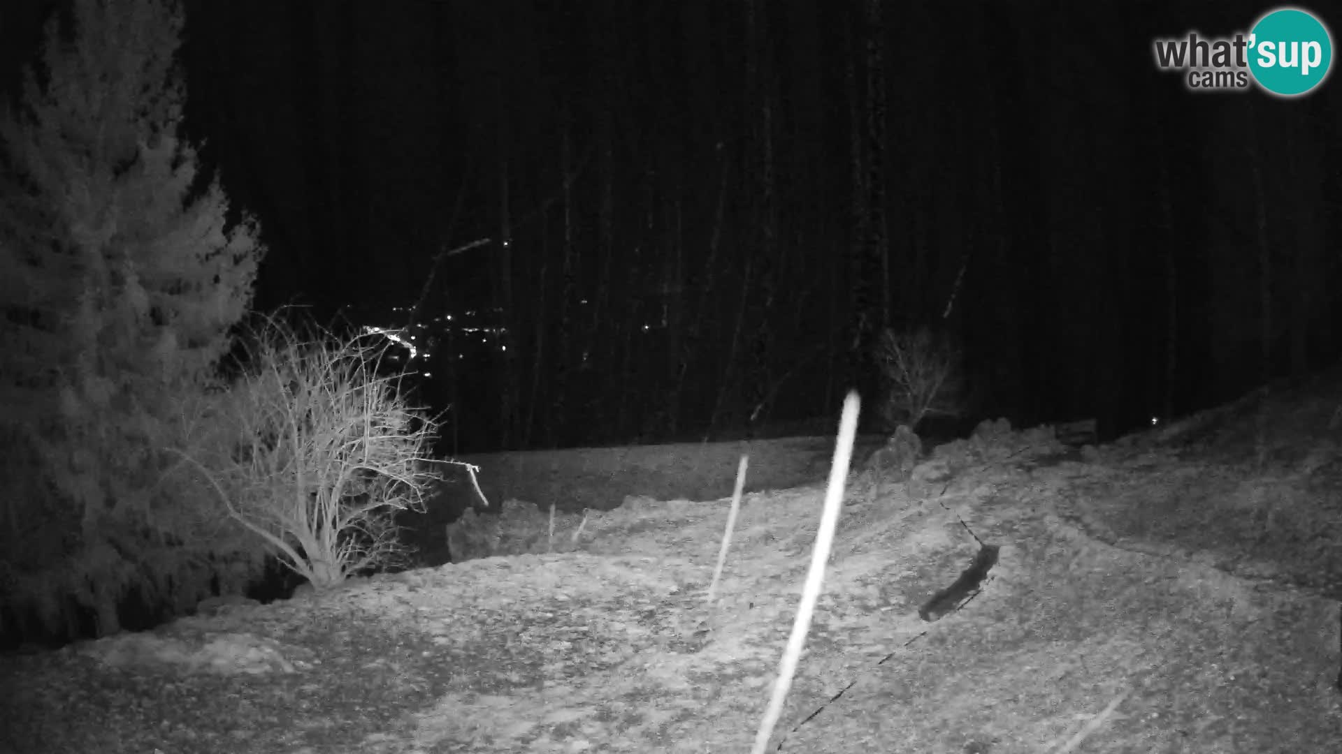 Webcam Slajka | Gorenja vas | Slovenia