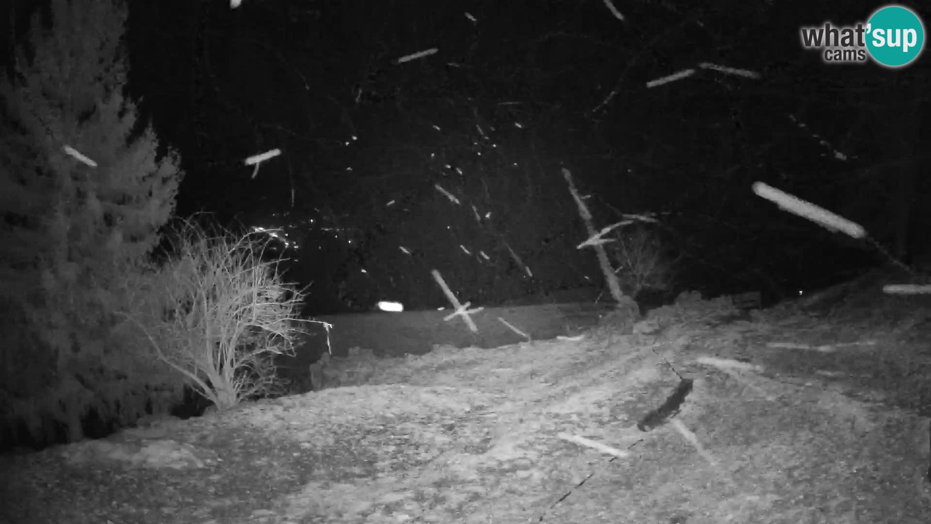 Slajka webcam | Gorenja Vas | Slowenien