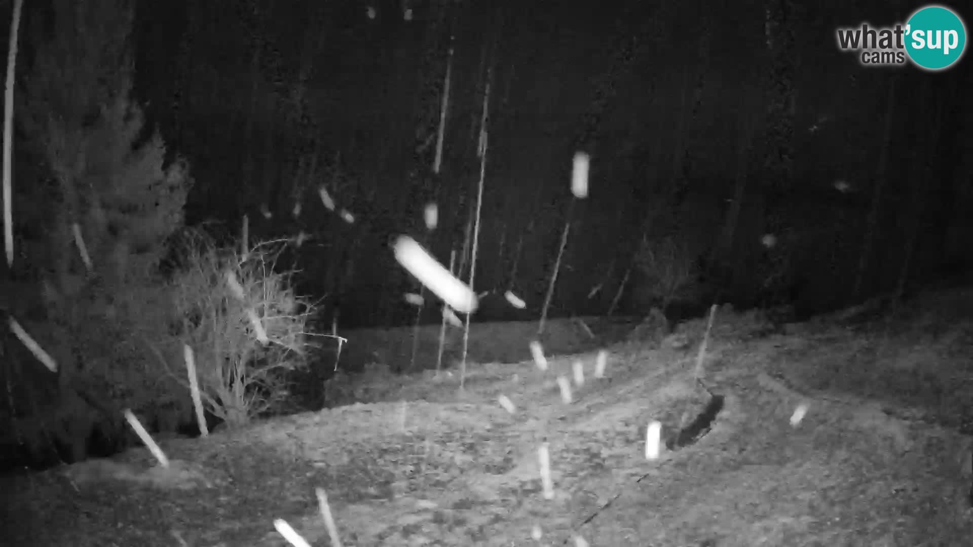 Slajka webcam | Gorenja Vas | Slowenien