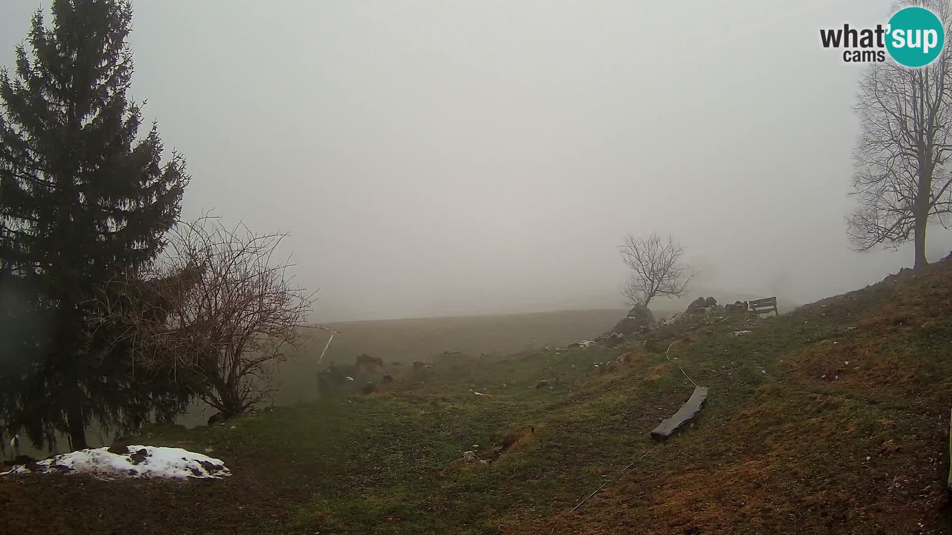 Slajka webam | Gorenja vas | Slovenia