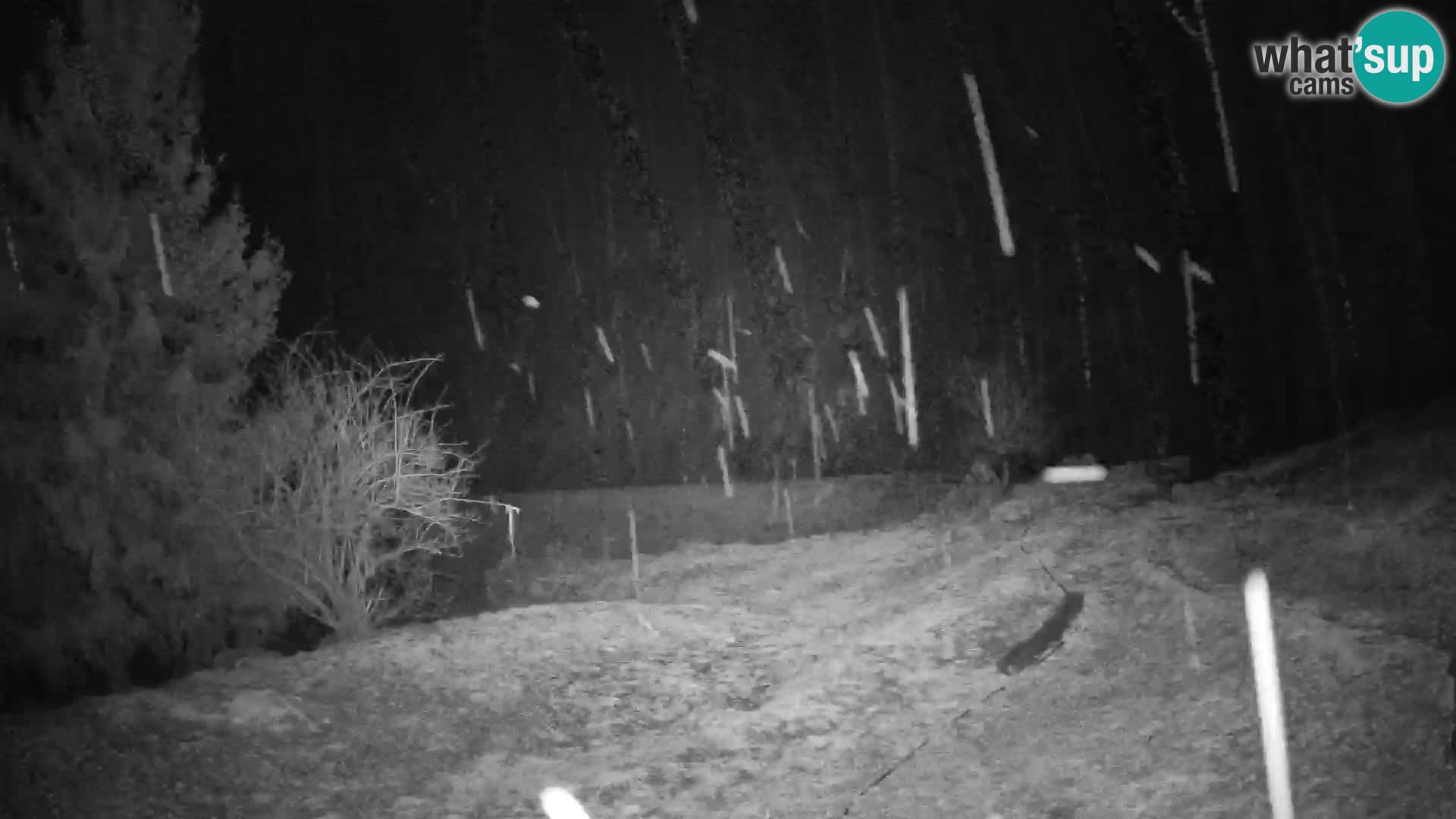 Slajka webam | Gorenja vas | Slovenia