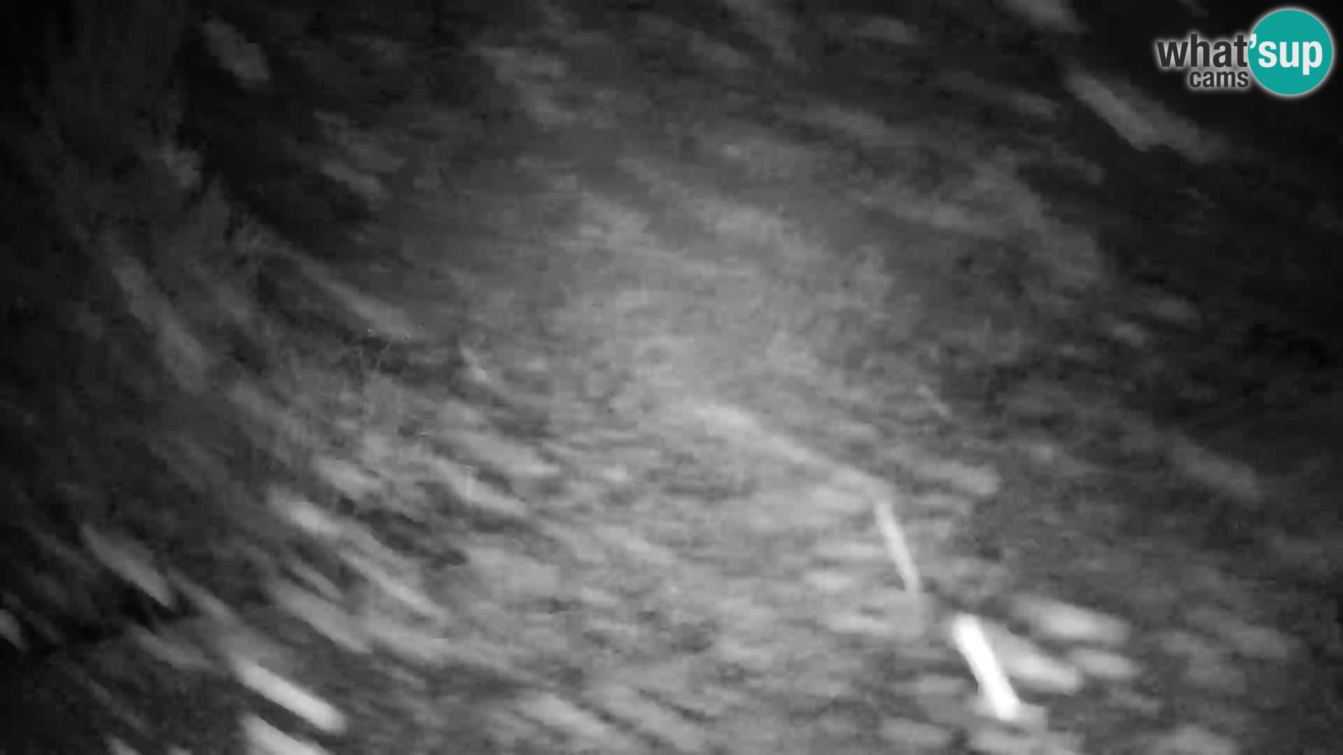 Slajka webcam | Gorenja Vas | Slowenien