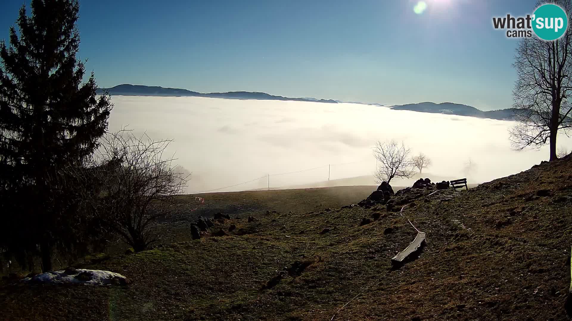 Slajka webam | Gorenja vas | Slovenia
