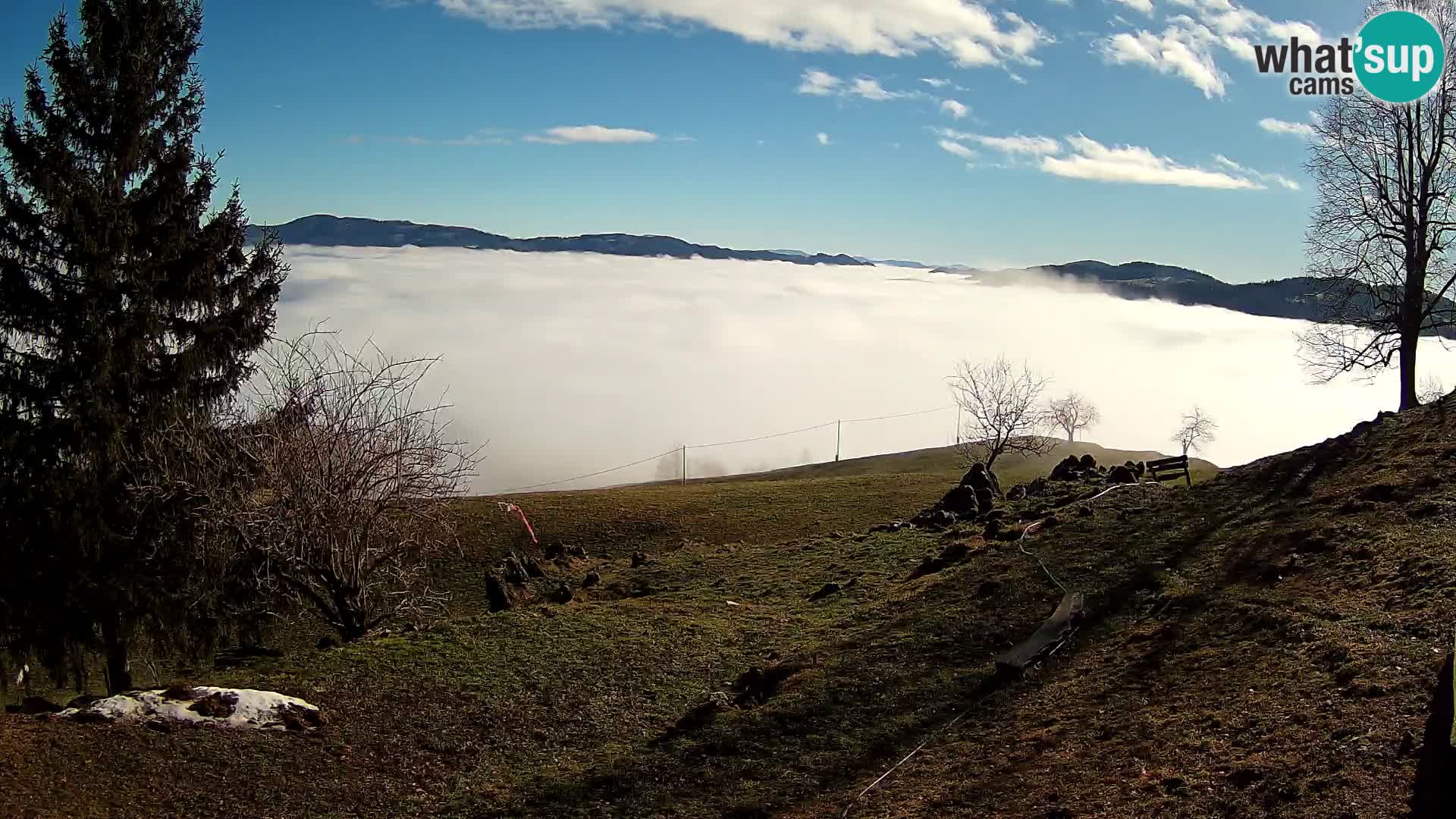 Slajka web kamera | Gorenja Vas | Slovenija