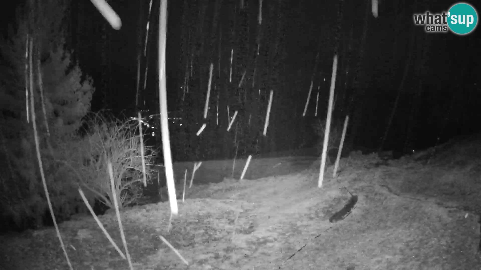 Slajka webam | Gorenja vas | Slovenia