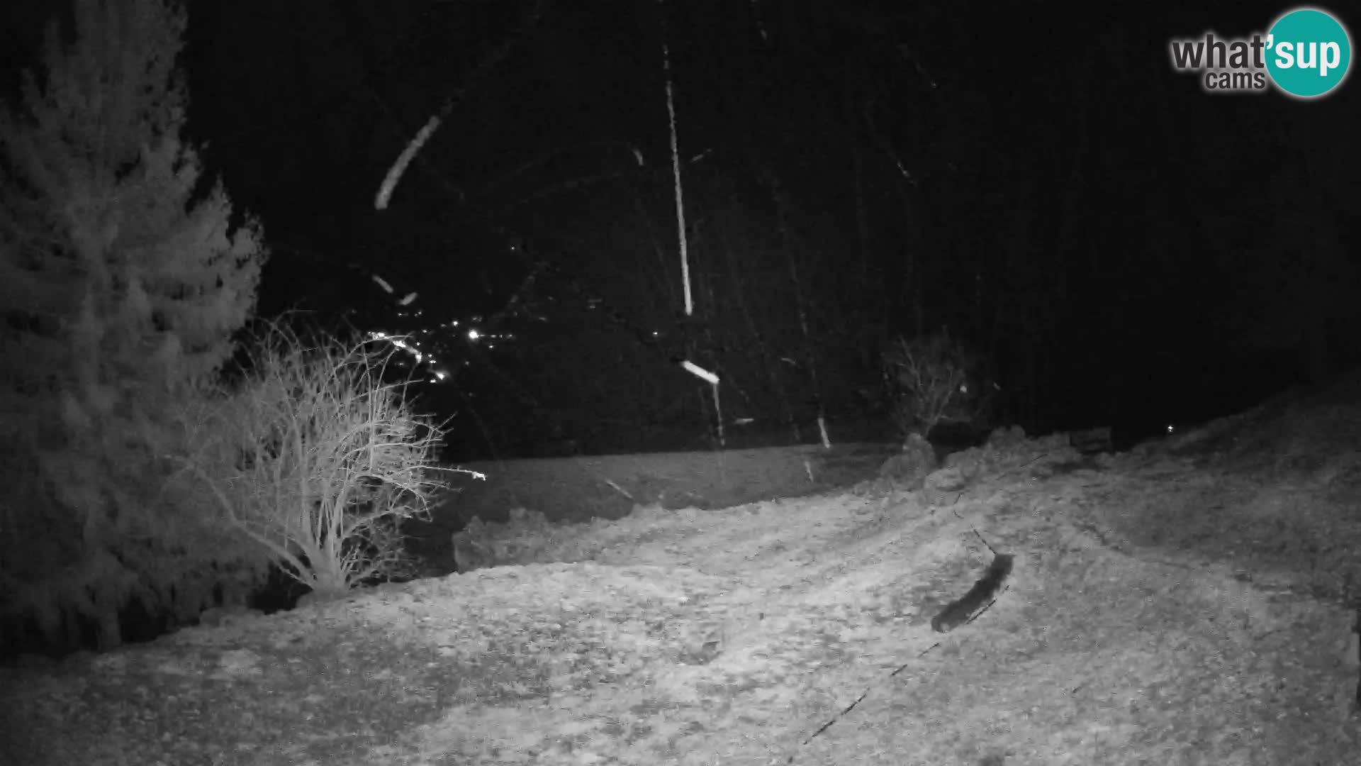 Slajka webam | Gorenja vas | Slovenia