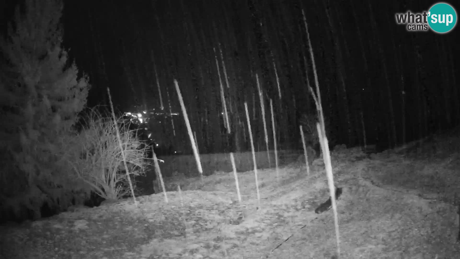 Slajka livecam | Gorenja Vas | Slovénie