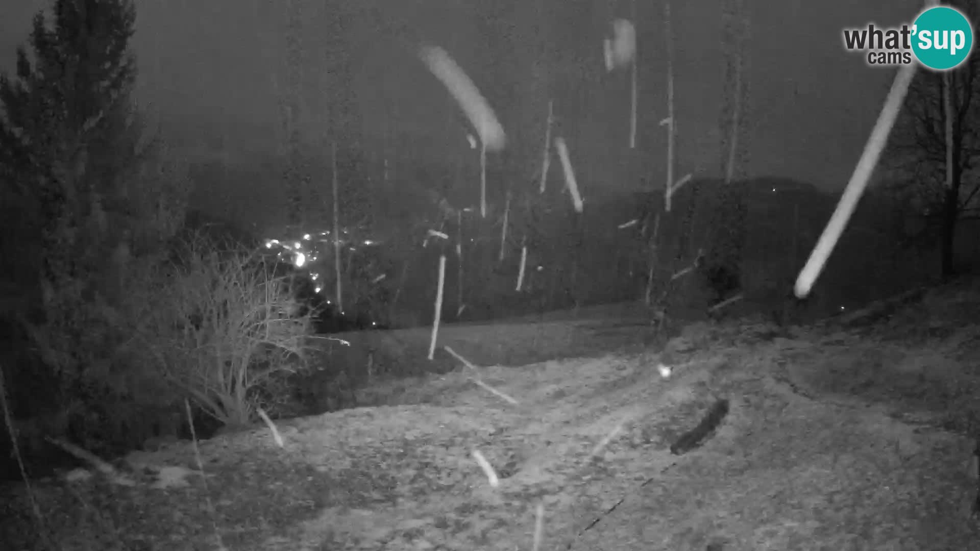 Slajka webam | Gorenja vas | Slovenia