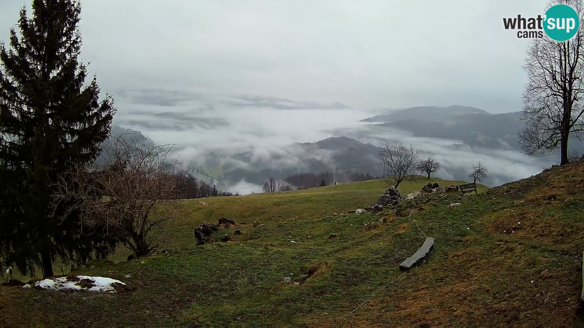 Slajka webam | Gorenja vas | Slovenia