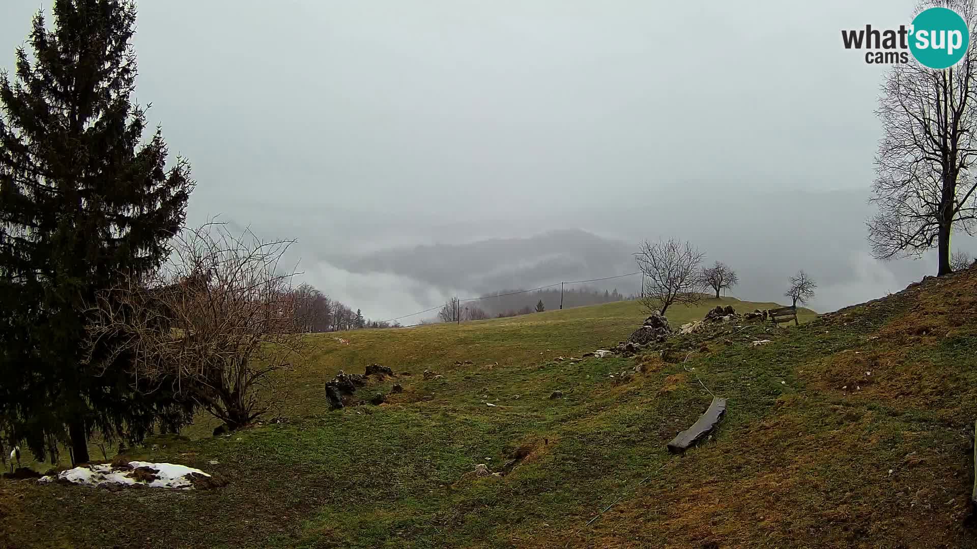 Slajka webam | Gorenja vas | Slovenia