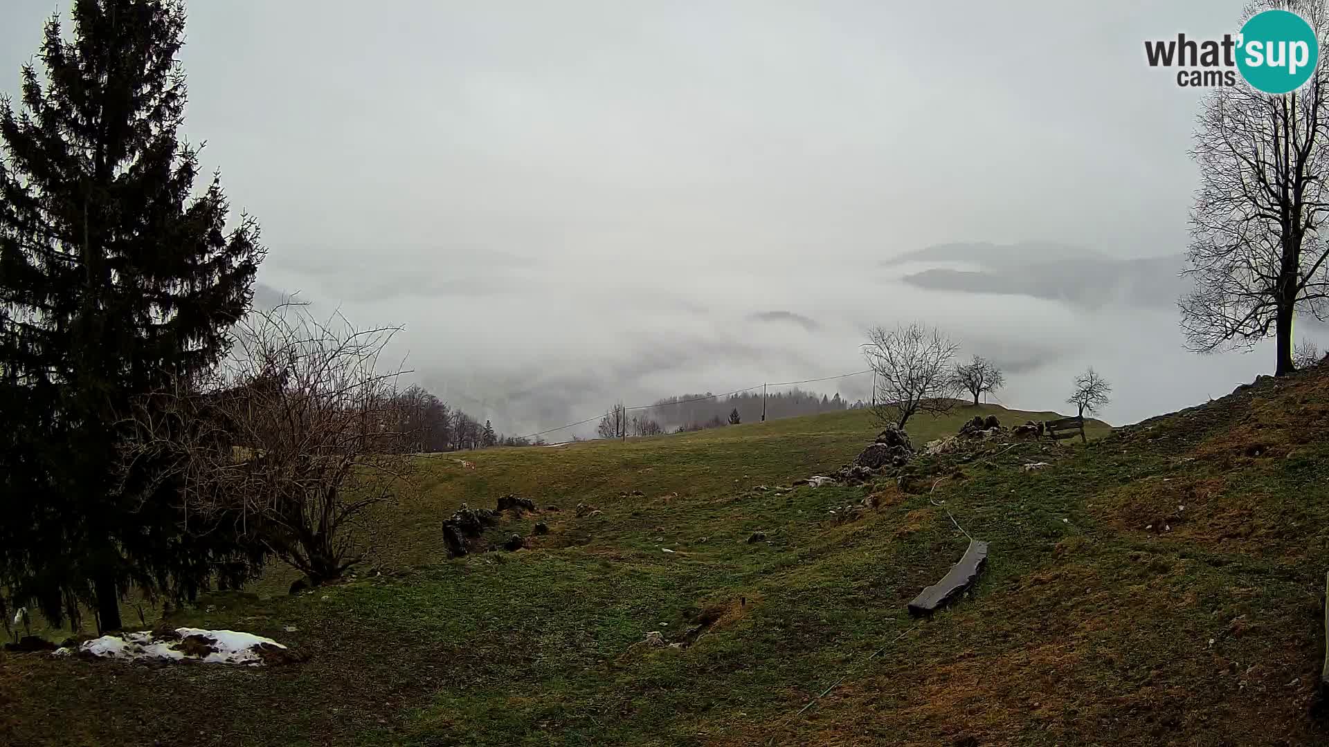 Slajka webam | Gorenja vas | Slovenia