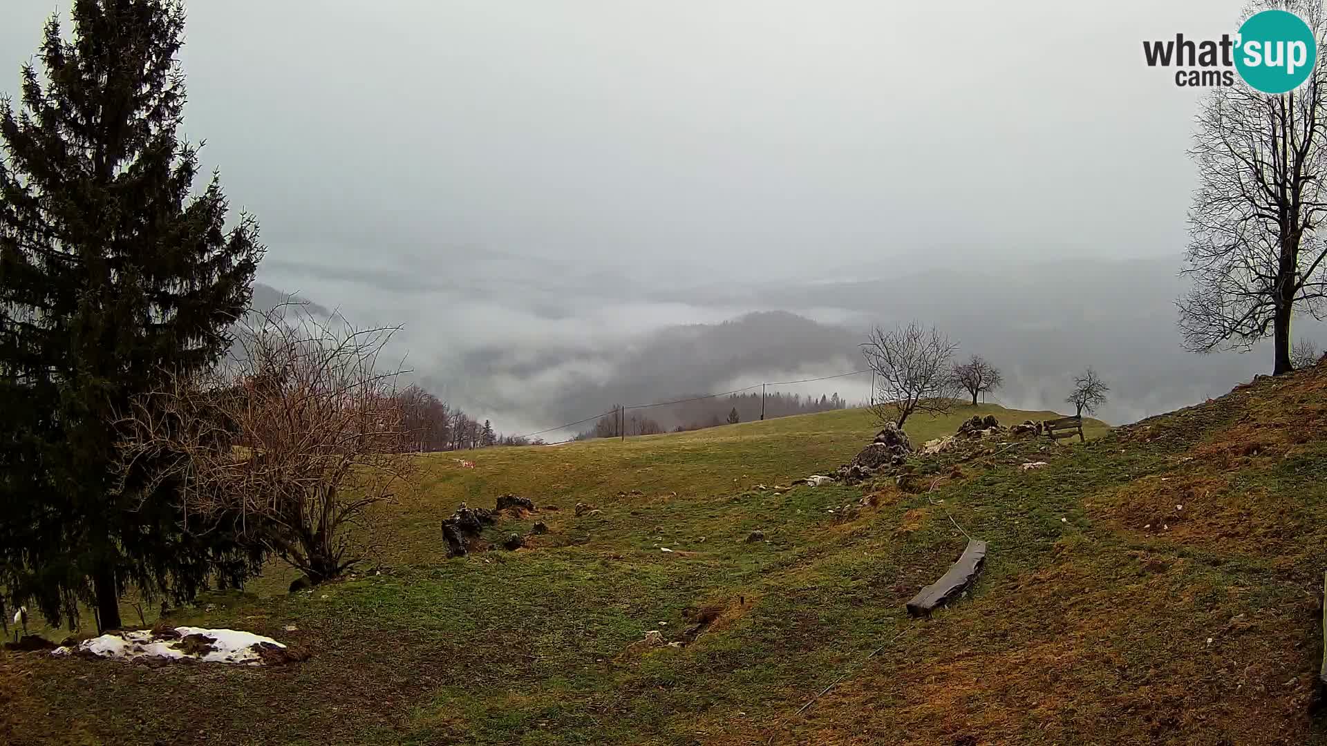 Slajka webam | Gorenja vas | Slovenia