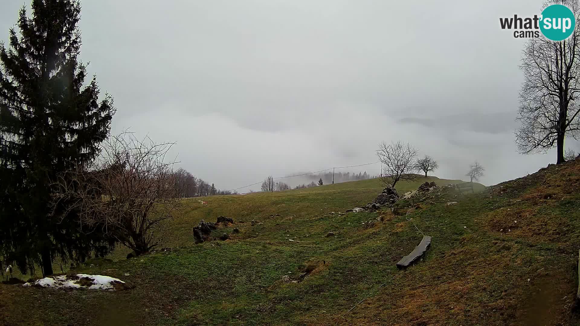 Spletna kamera Slajka | Gorenja vas