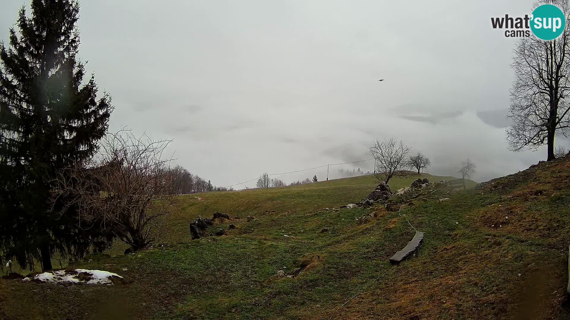 Slajka webcam | Gorenja Vas | Slowenien