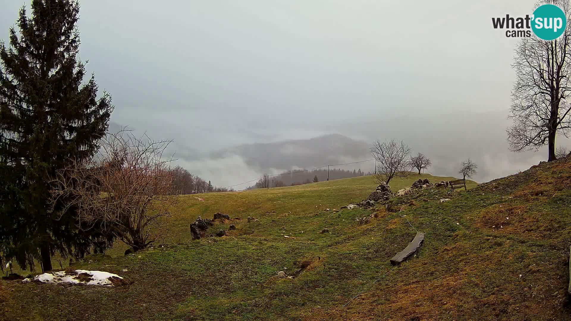 Slajka webam | Gorenja vas | Slovenia