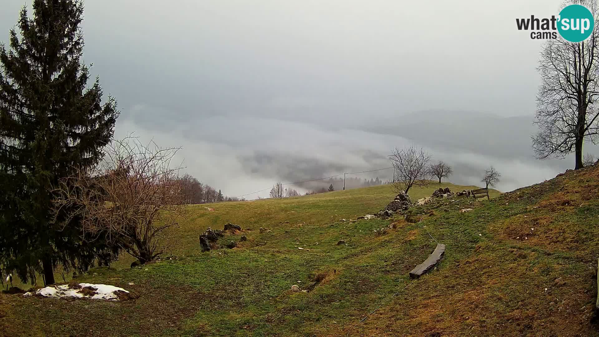 Slajka webam | Gorenja vas | Slovenia