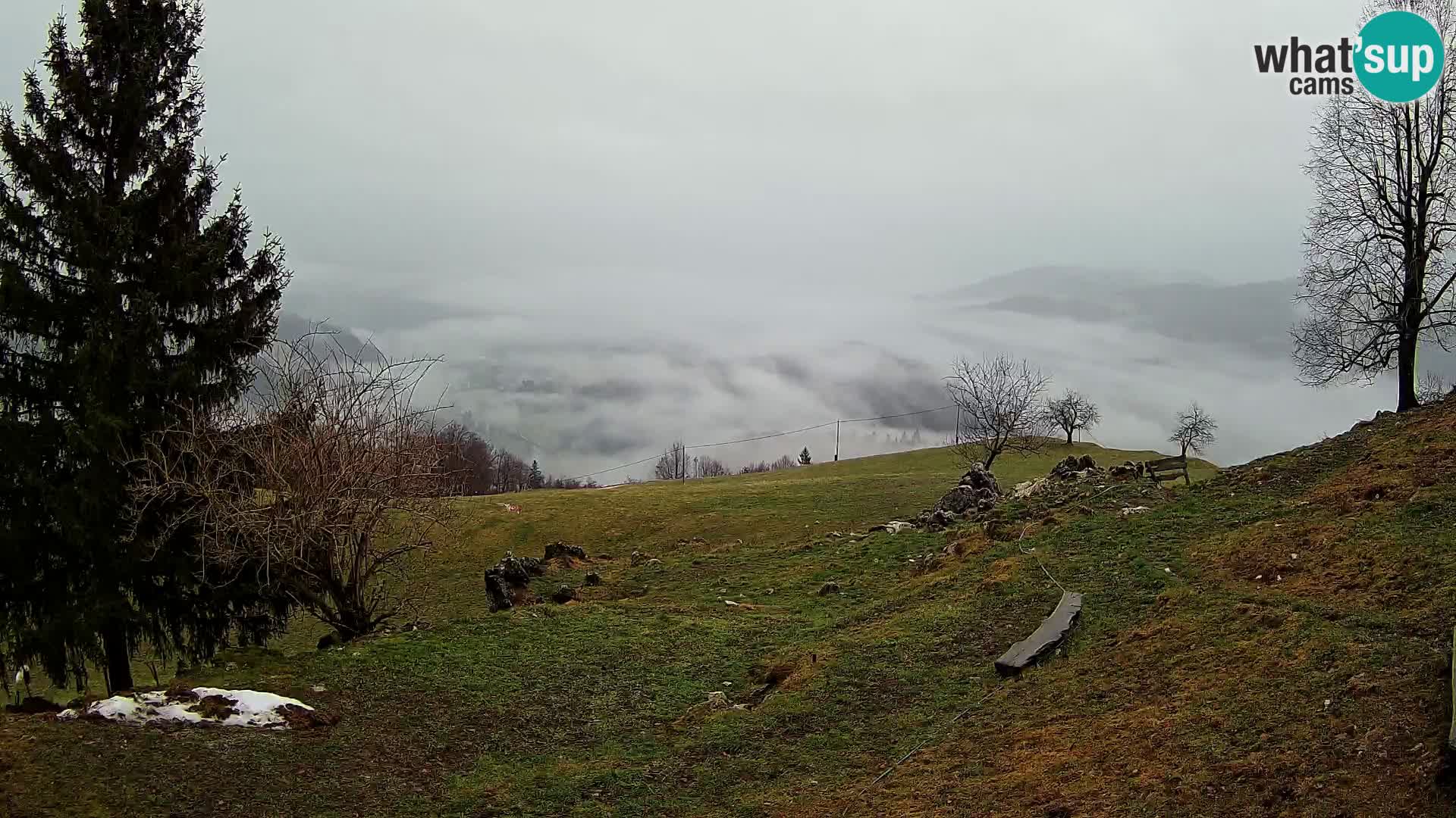 Slajka webam | Gorenja vas | Slovenia