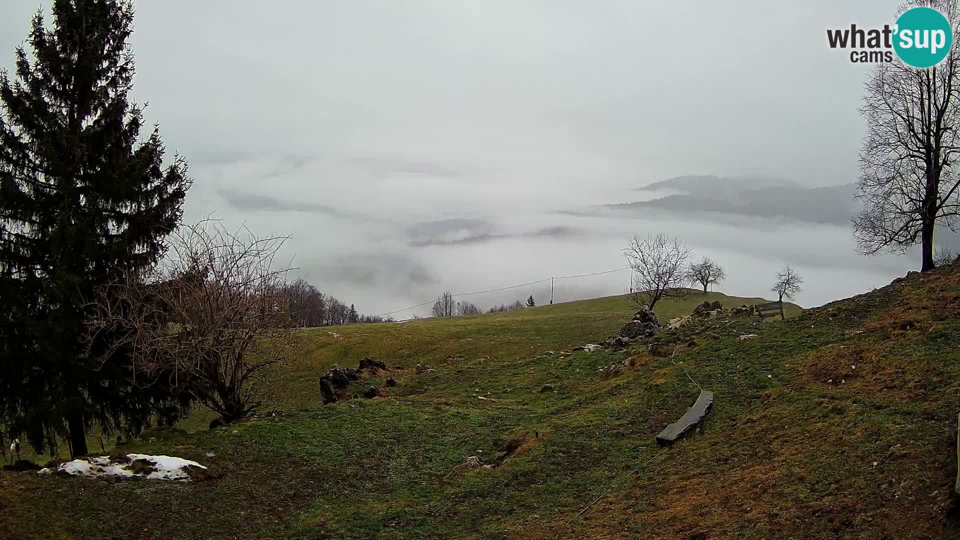 Slajka webam | Gorenja vas | Slovenia