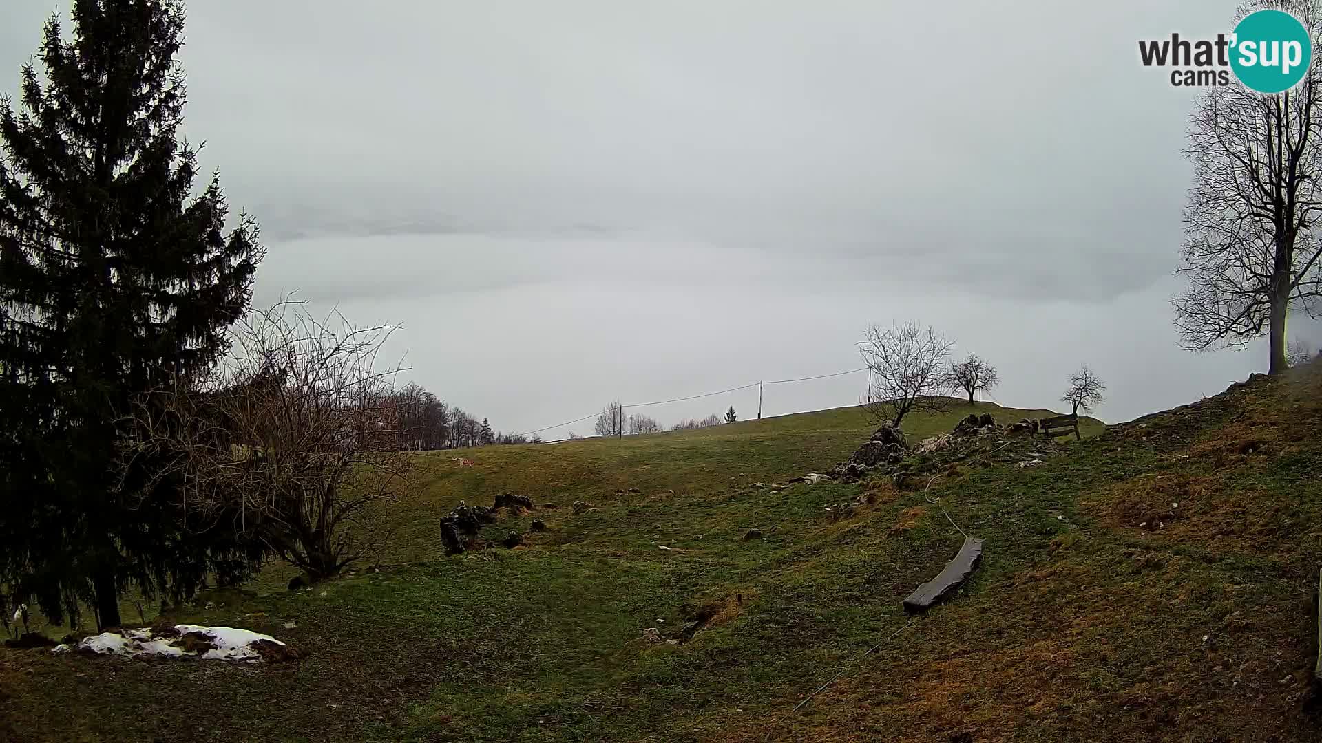 Spletna kamera Slajka | Gorenja vas