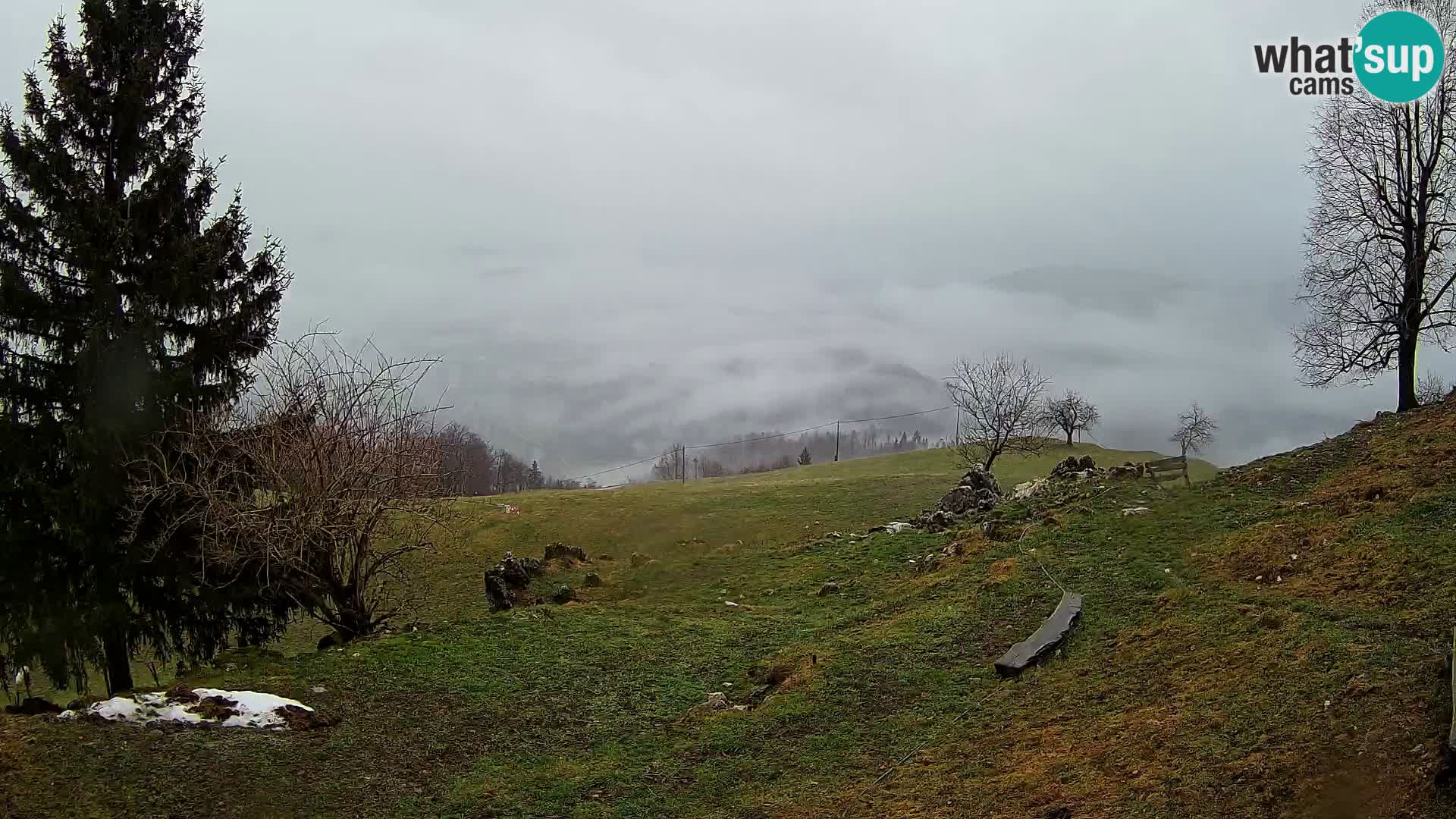 Slajka webcam | Gorenja Vas | Slowenien