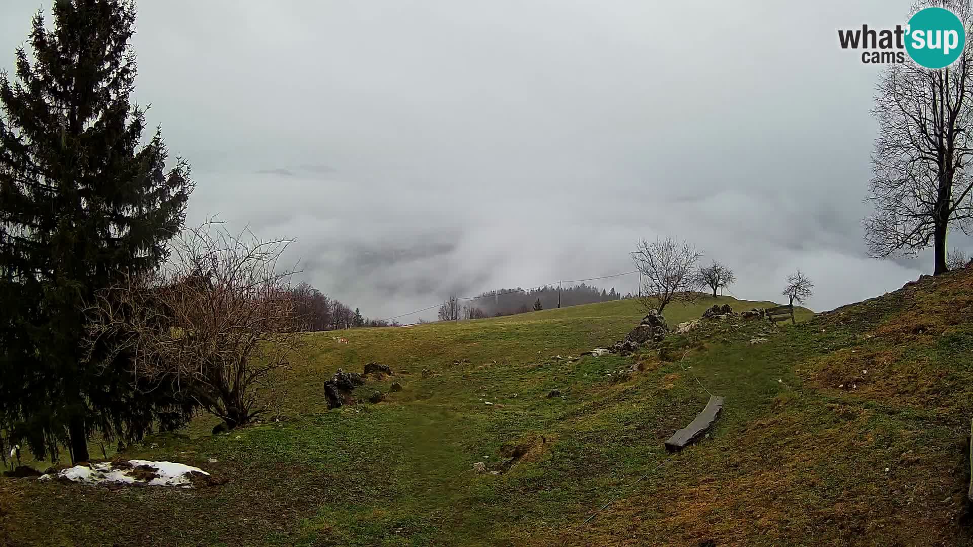 Slajka webcam | Gorenja Vas | Slowenien