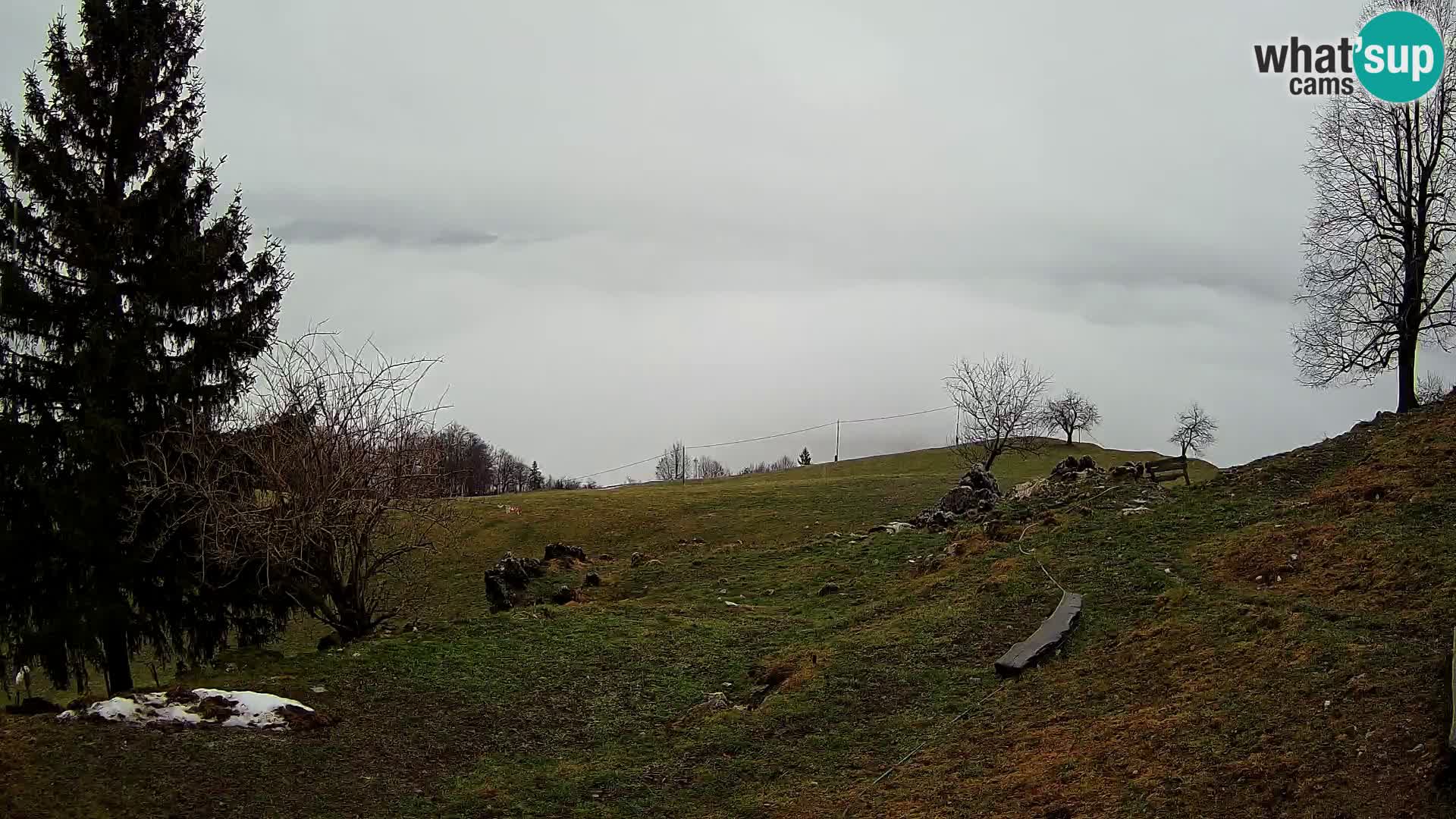 Slajka webcam | Gorenja Vas | Slowenien