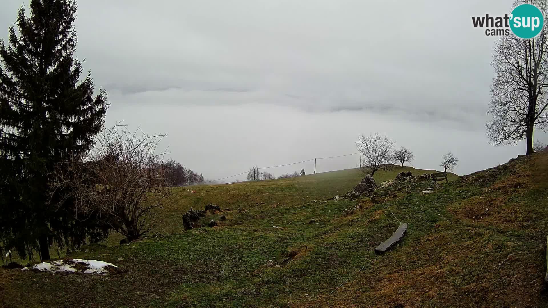 Spletna kamera Slajka | Gorenja vas