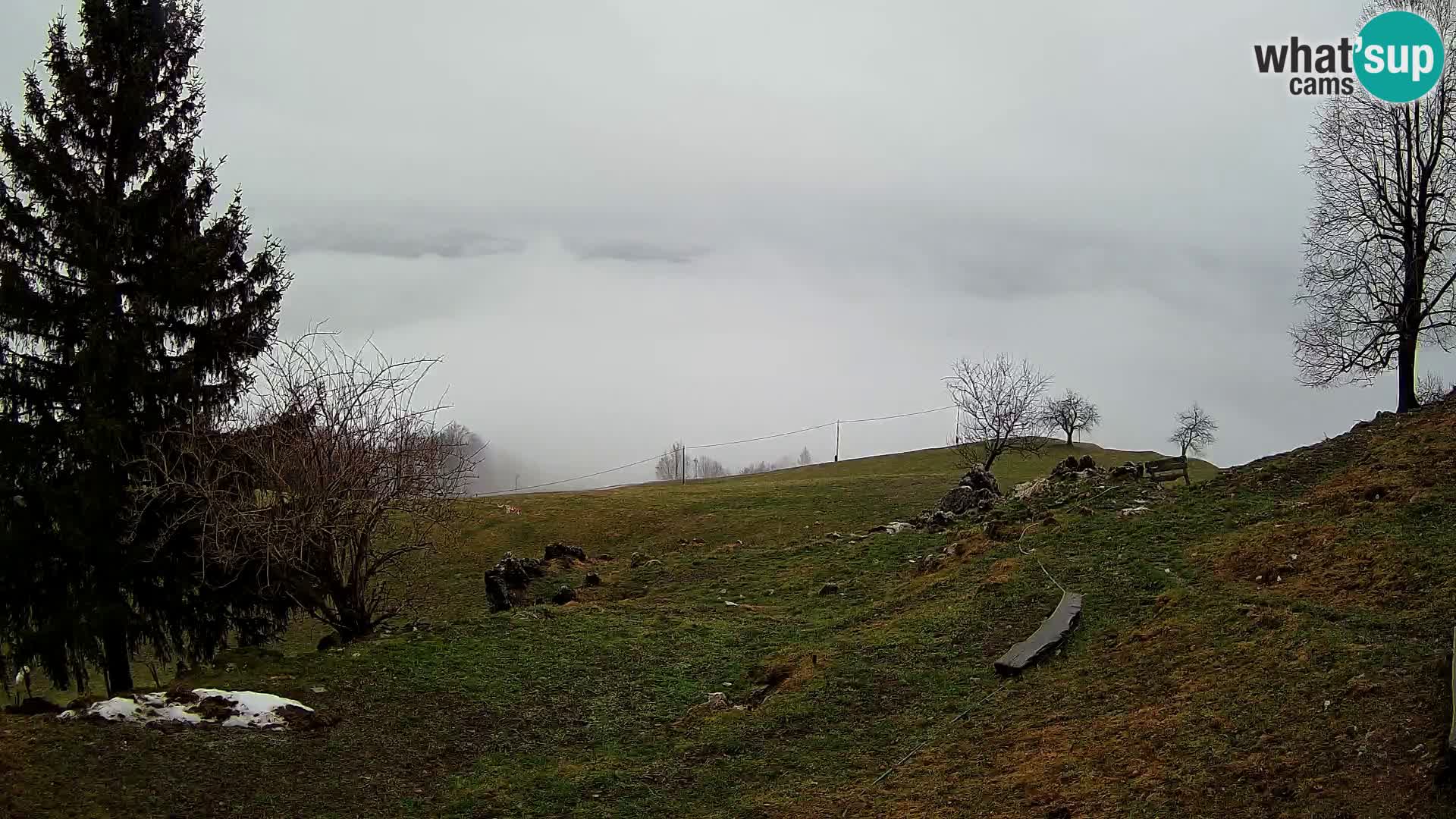 Slajka livecam | Gorenja Vas | Slovénie