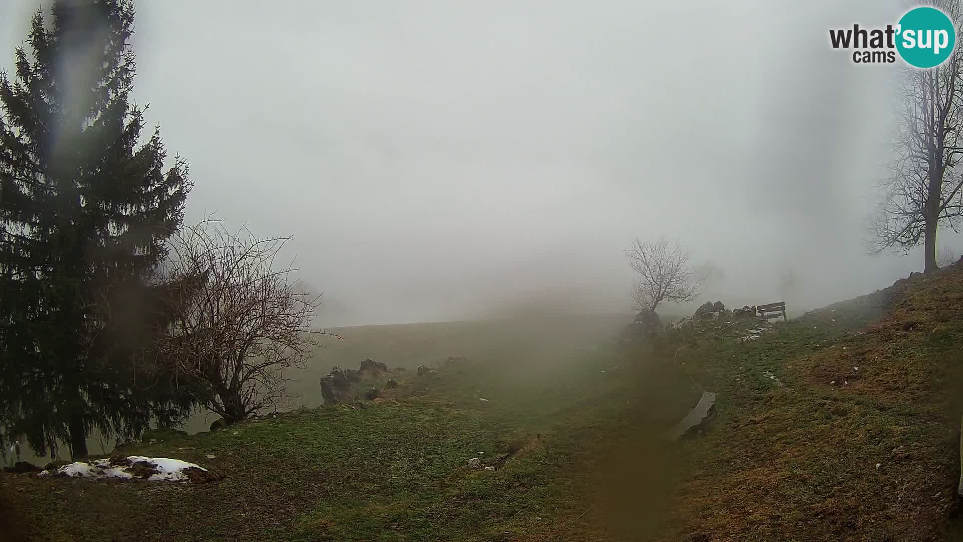 Slajka webam | Gorenja vas | Slovenia