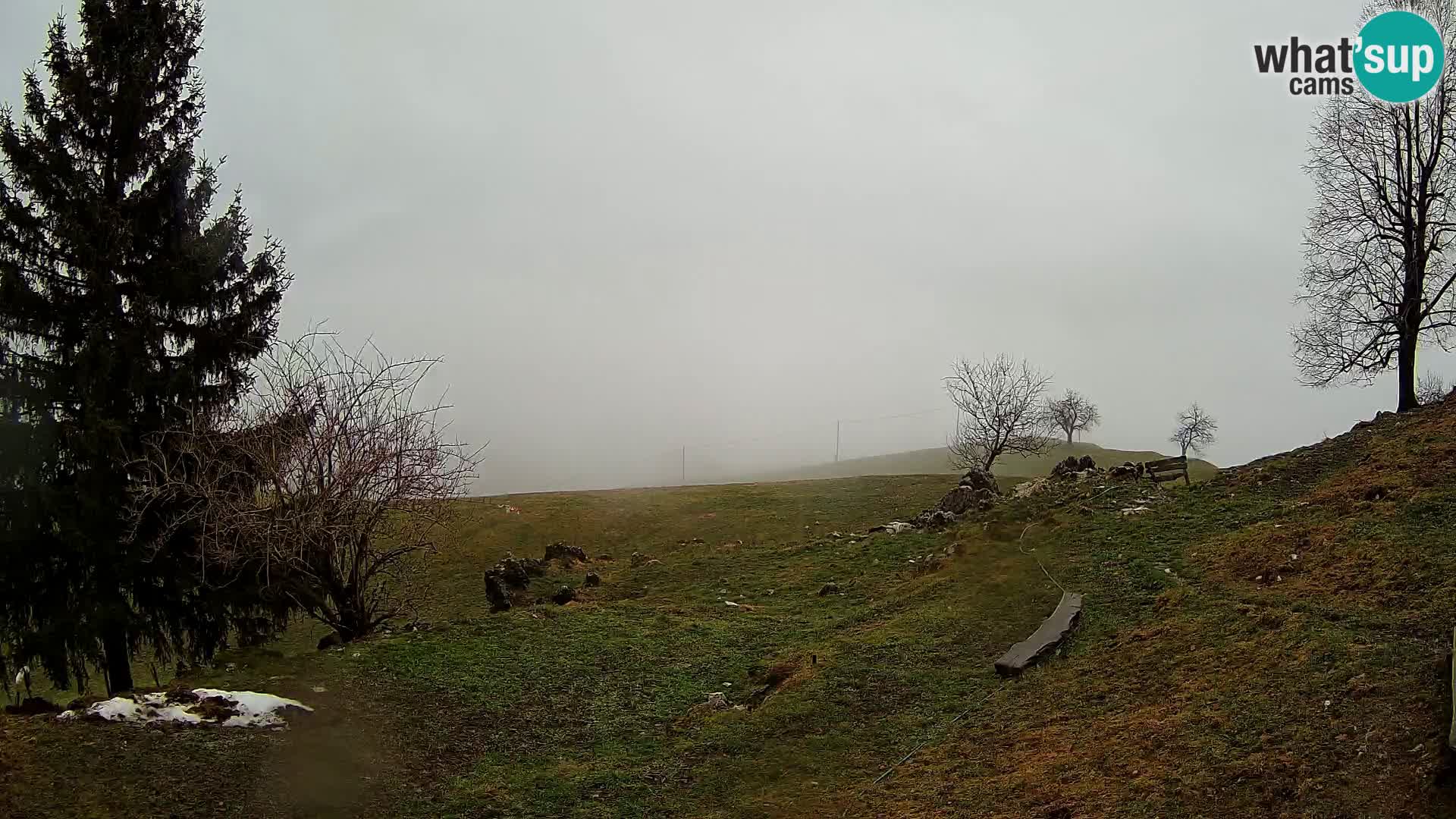 Slajka livecam | Gorenja Vas | Slovénie